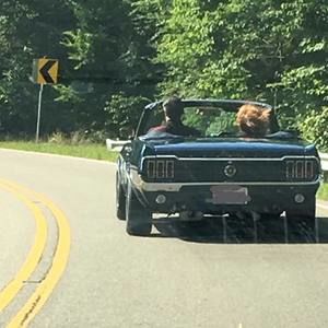 Meet your Posher, Sandy